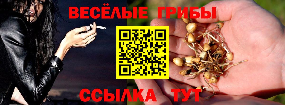 Псилоцибиновые грибы Cubensis  Вход с VPN  Урай 